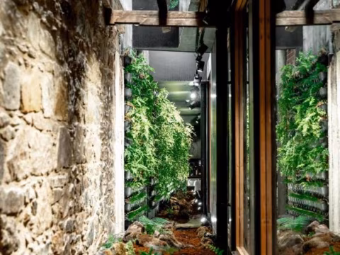 Pod room, Wharfstone Hotel