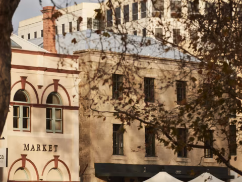 Sunlit sandstone facade of the heritage warehouse framed by autumn leaves
